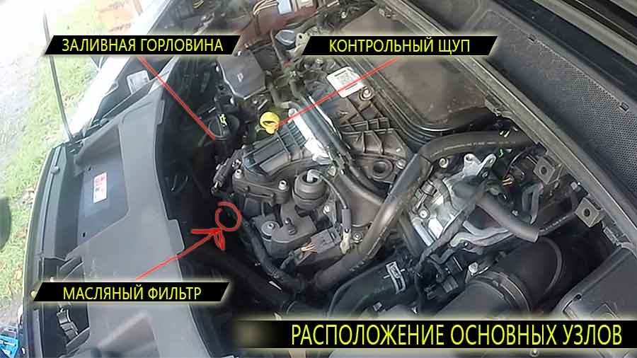 Расположение заливной горловины, масляного щупа, масляного фильтра на двигателе Ford Galaxy