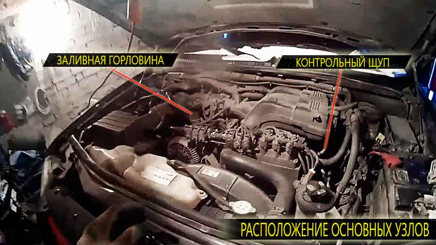 Расположение заливной горловины и контрольного щупа уровня масла на двигателе Форд Эксплорер 4 поколения